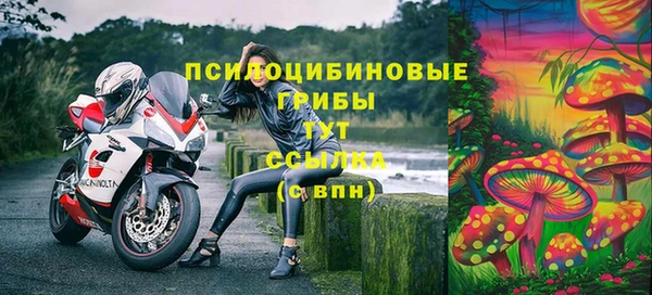 не бодяженный Абинск