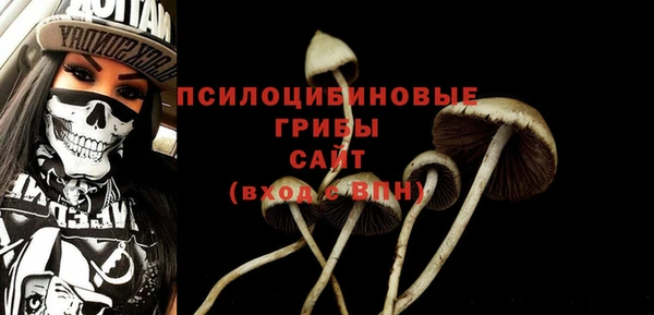 гидропоника Абаза