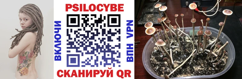 Псилоцибиновые грибы Magic Shrooms  закладка  Фёдоровский 